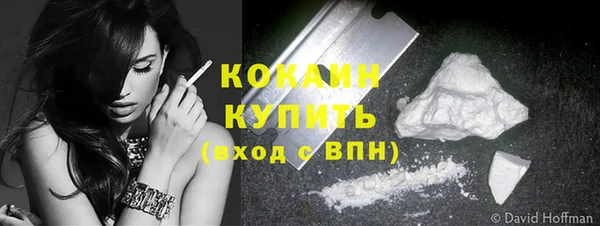 индика Абинск