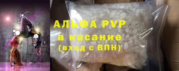 индика Абинск