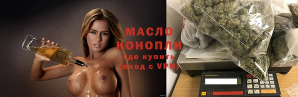 индика Абинск