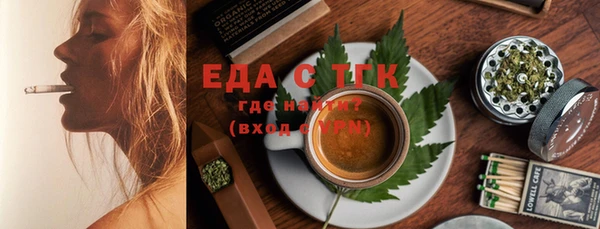 индика Абинск