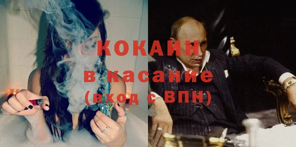 индика Абинск