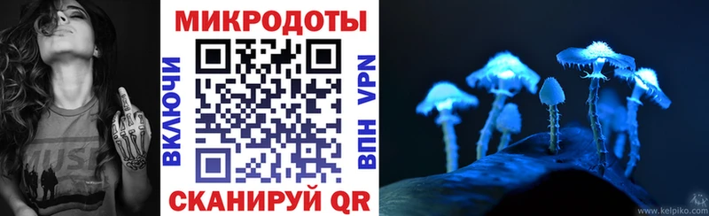 Галлюциногенные грибы прущие грибы  Грозный 
